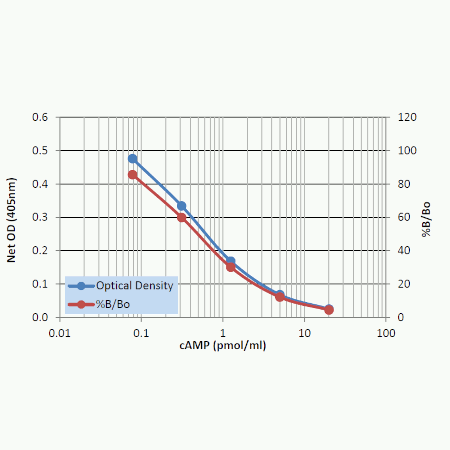 Complete cAMP ELISA kit Standard curve - Acetylated HCl