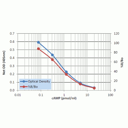 Complete cAMP ELISA kit Standard curve - Acetylated in AB2
