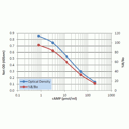 Complete cAMP ELISA kit Standard curve - Non-acetylated in HCl