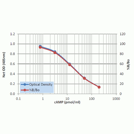 Complete cAMP ELISA kit Standard curve Non - Acetylated in AB2