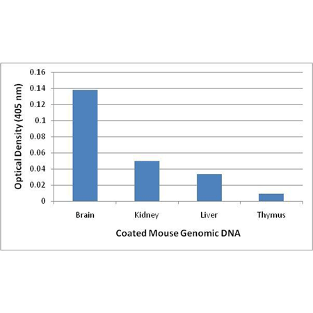 5-Hydroxymethylcytosine polyclonal antibody ELISA