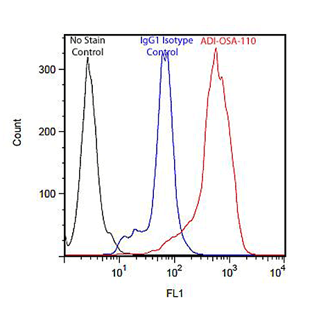 HO-1 monoclonal antibody (HO-1-1) Flow Cytometry