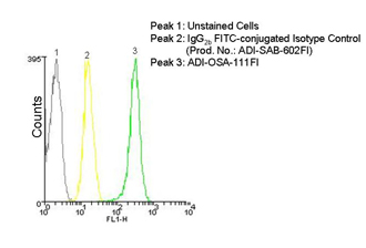 HO-1 monoclonal antibody (HO-1-2) (FITC conjugate) Flow Cytometry