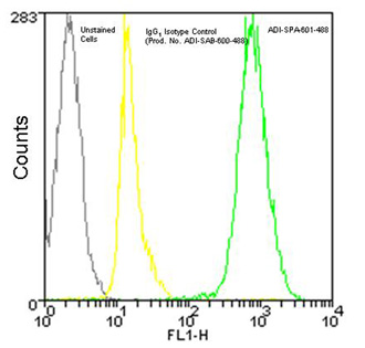 Calreticulin monoclonal antibody (FMC 75) (DyLight™ 488 conjugate) Flow Cytometry
