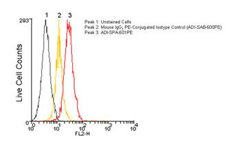 Calreticulin monoclonal antibody (FMC 75) (PE conjugate) Flow Cytometry