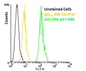 KDEL monoclonal antibody (10C3) (DyLight™ 488 conjugate) Flow Cytometry