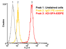 HSP90 monoclonal antibody (AC88) (PE conjugate) Flow Cytometry