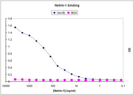 Netrin-1 (human), (recombinant) ELISA