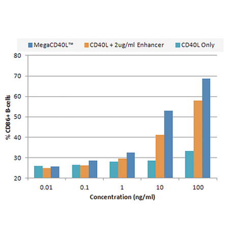 MEGACD40L® Protein (soluble) (human), (recombinant) Flow Cytometry