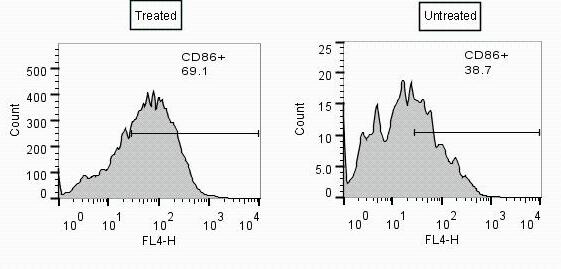MEGACD40L® Protein (soluble) (mouse), (recombinant) Flow Cytometry