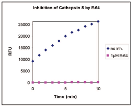 Cathepsin S drug discovery kit Fig1a