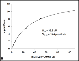 Proteasome 20S assay kit Fig3B