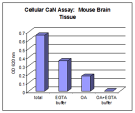 Calcineurin cellular activity assay kit Fig2