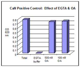 Calcineurin cellular activity assay kit Fig3