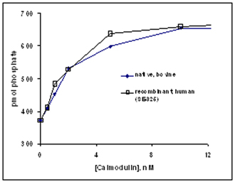 Calmodulin (human), (recombinant) activation
