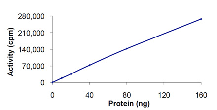 Akt1 (human), (recombinant) (GST-tag) AA
