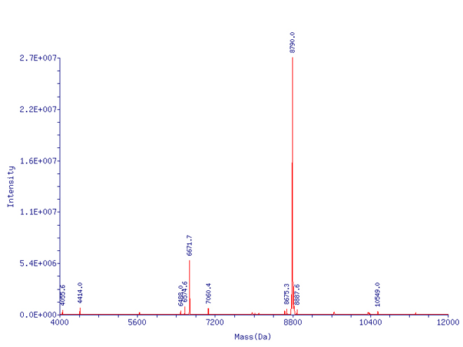 Ubiquitin (bovine), (native) (methylated) Mass Spectrum Analysis