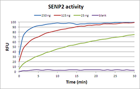 SENP2 (catalytic domain) (human), (recombinant) (GST-tag) activity