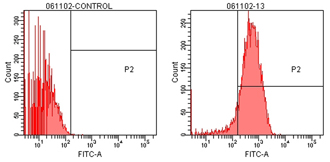 TCP-1α monoclonal antibody (91a) Flow Cytometry