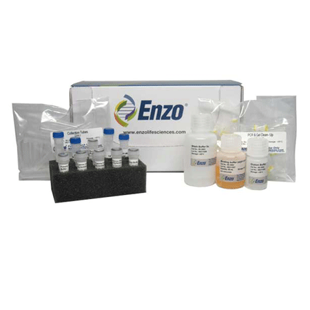CYTAG® TotalCGH Labeling kit Kit box image
