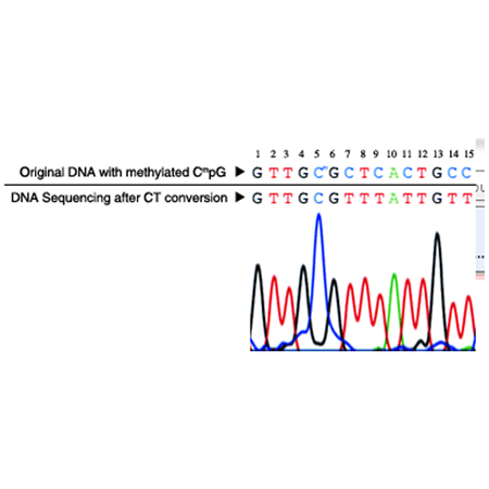 Express DNA methylation kit Fig1