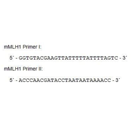 Universal methylated DNA standard (mouse) Fig2