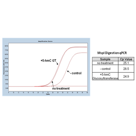 BIOARRAY™ 5-hmC methylation kit Fig5