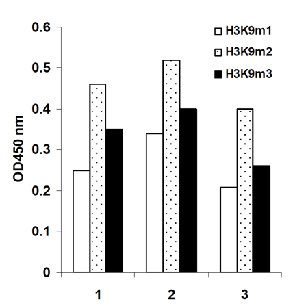 EPIXTRACT® Total Histone Extraction Kit (High Throughput) graph