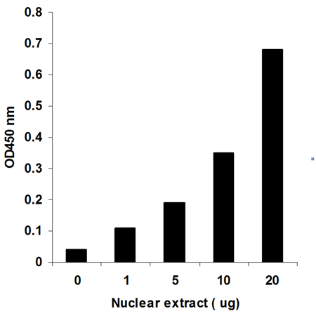 DNMT Colorimetric Drug Discovery Kit graph1