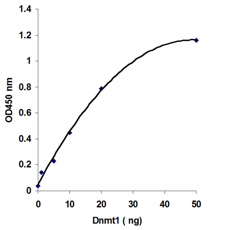 DNMT Colorimetric Drug Discovery Kit graph2