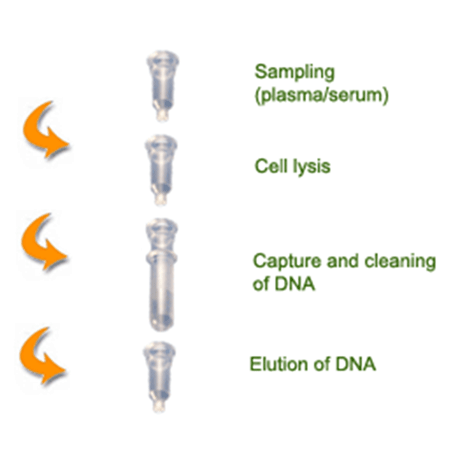 AMPIXTRACT® DNA Isolation Kit for Plasma/Serum schematic