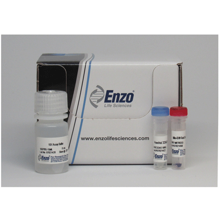 MITO-ID® Red detection kit (GFP-CERTIFIED®) Kit box image