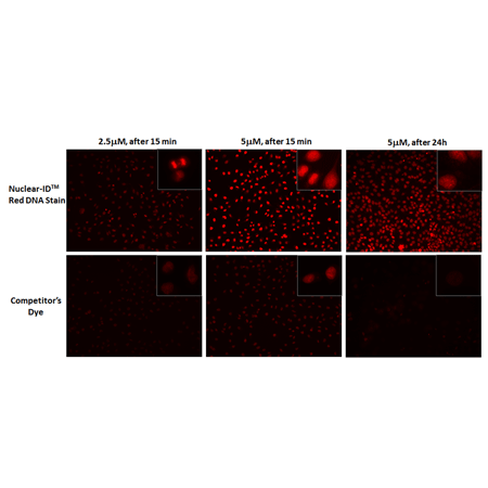 NUCLEAR-ID® Red cell cycle kit (GFP-CERTIFIED®) Red_DNA_stain