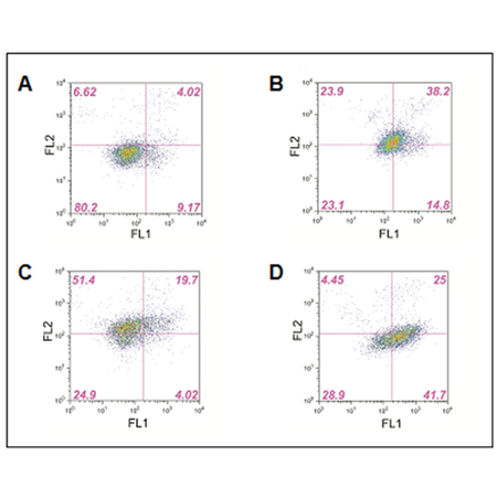 ROS-ID® Total ROS/Superoxide detection kit Flow Cytometry