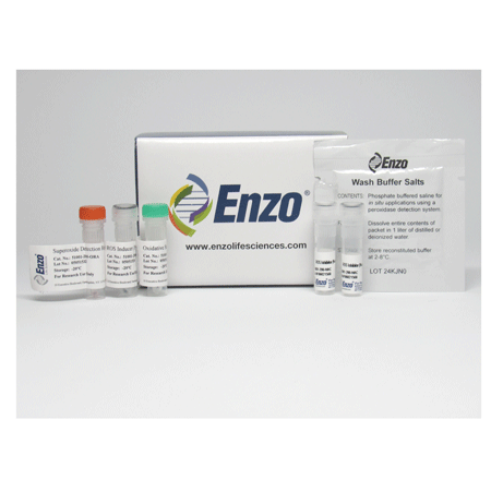 ROS-ID® Total ROS/Superoxide detection kit Kit box image