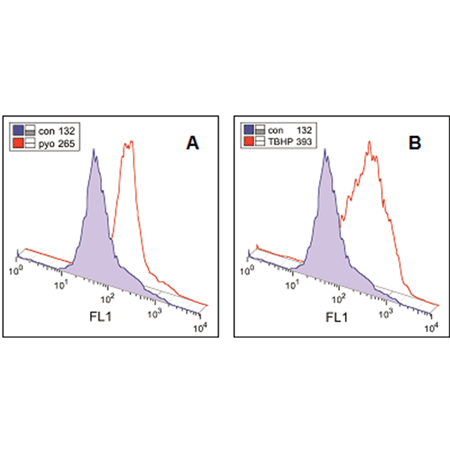 ROS-ID® Total ROS detection kit Flow Cytometry