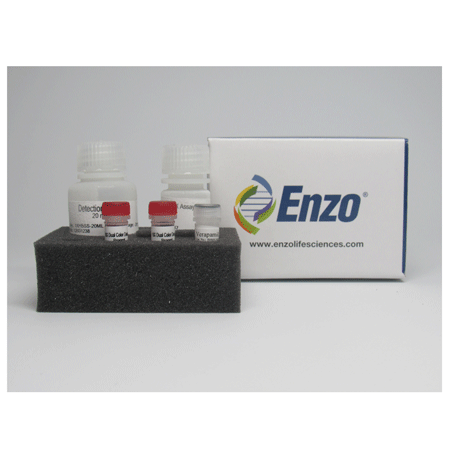 LYSO-ID® Red cytotoxicity kit (GFP-CERTIFIED®) Kit box image