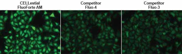 FLUOFORTE® Calcium assay kit image