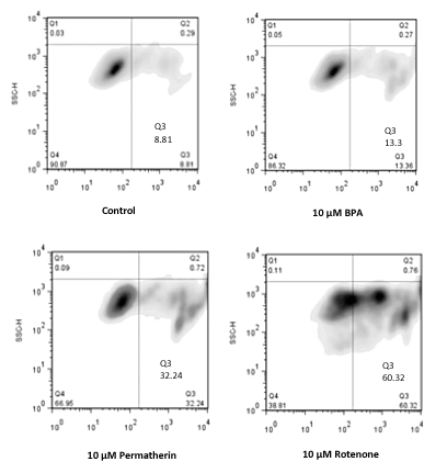 NUCLEAR-ID® Green chromatin condensation detection kit Flow Cytometry