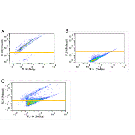 PROTEOSTAT® Protein aggregation assay Flow Cytometry