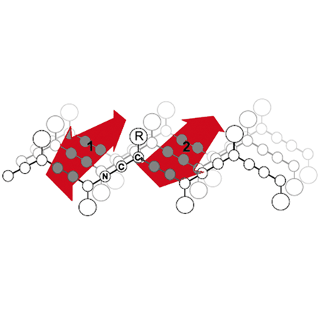 PROTEOSTAT® Protein aggregation assay dye_aggregate