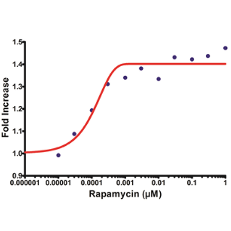 CYTO-ID® Autophagy detection kit Fig5-web