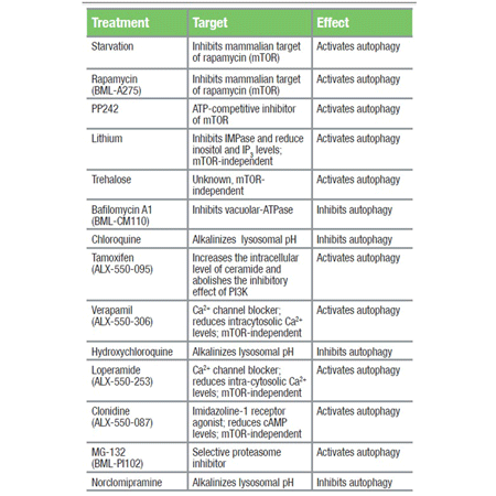 CYTO-ID® Autophagy detection kit Flow Cytometry