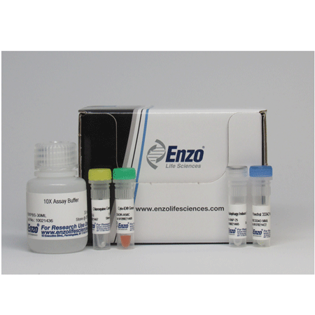CYTO-ID® Autophagy detection kit Kit box image