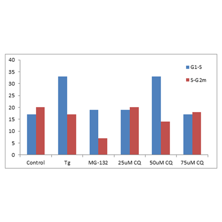 PROTEOSTAT® Aggresome detection kit Flow Cytometry