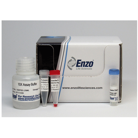 PROTEOSTAT® Aggresome detection kit Kit box image