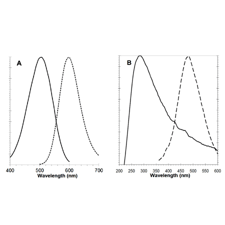 PROTEOSTAT® Aggresome detection kit Excitation and emission