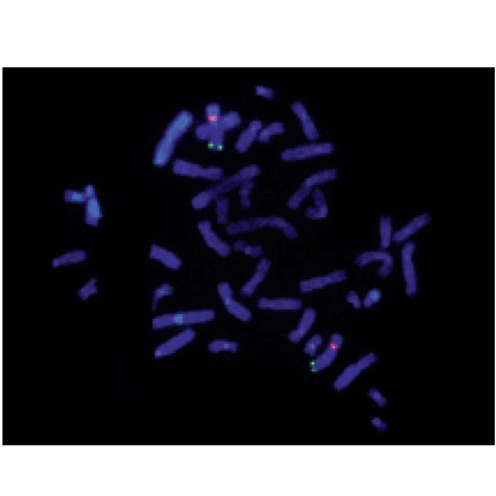 DAPI (ultra pure) Fig2