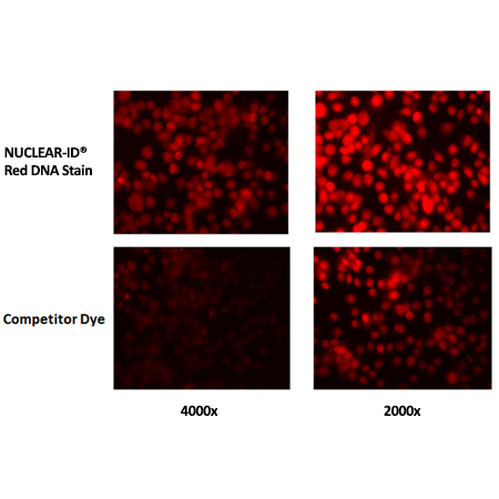 NUCLEAR-ID® Red DNA stain rev