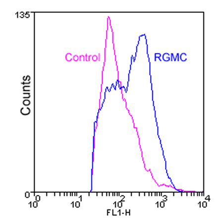RGMC (human) monoclonal antibody (1D7) Flow Cytometry